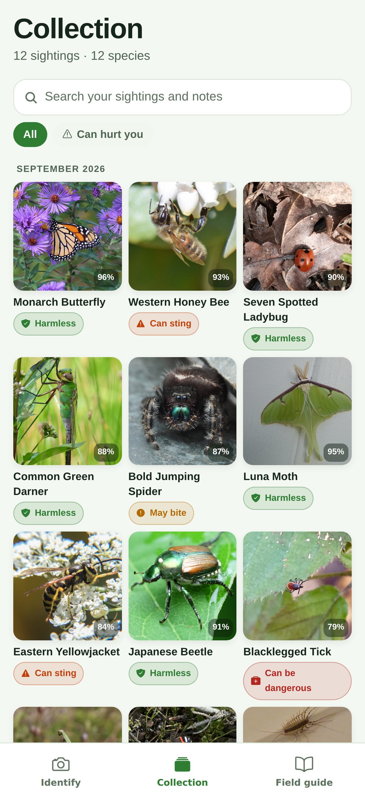The Collection tab: a grid of past sightings grouped by month, each with its name, confidence and risk badge