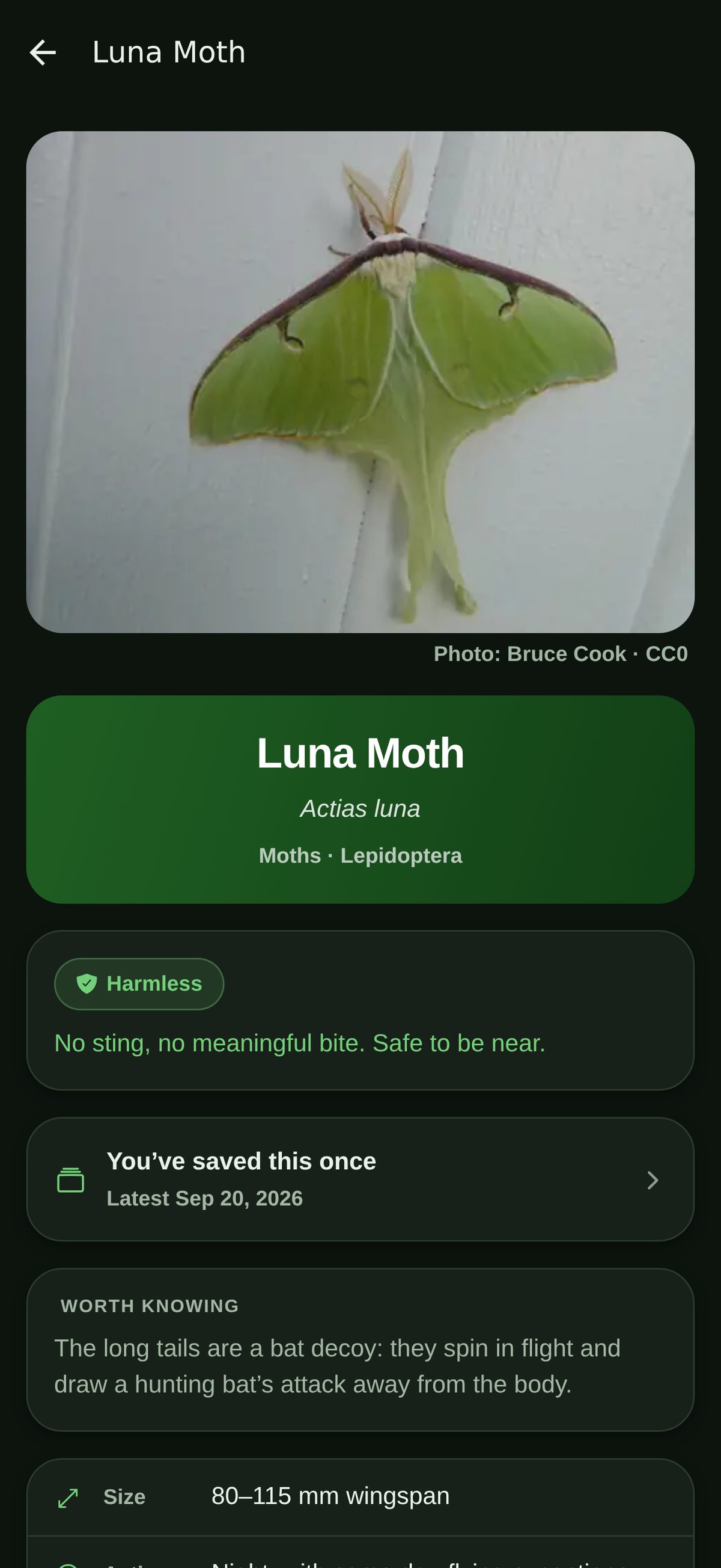 The Luna Moth guide entry, with its reference photo, rendered in the app's dark theme