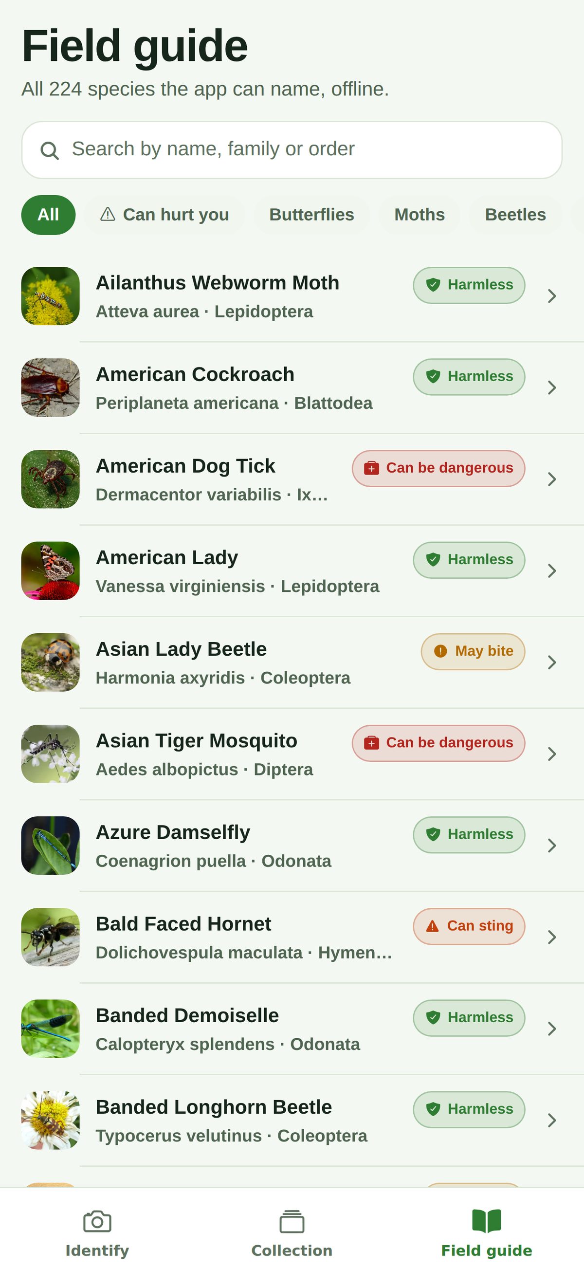 The Field guide tab: a searchable list of every species with a photo, its scientific name, order and risk badge