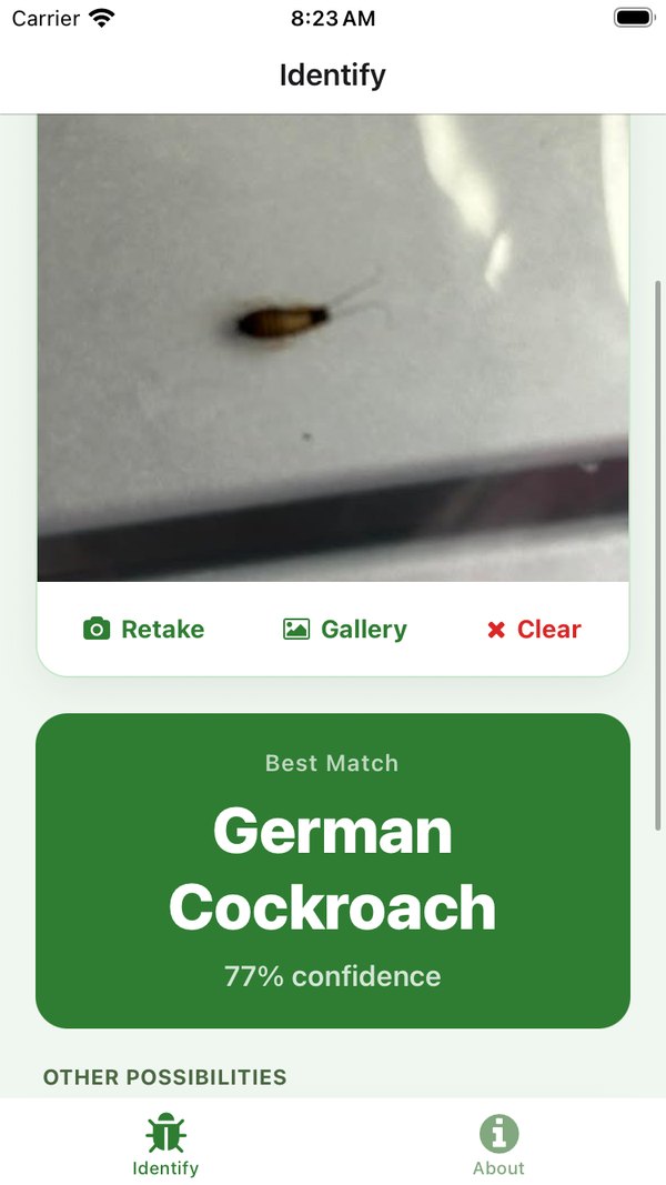 The result: Best Match German Cockroach at 77% confidence, with an Other Possibilities section below